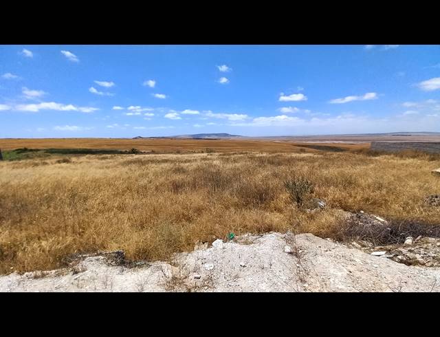 100HA FARM FOR SALE IN VREDENBURG RURAL